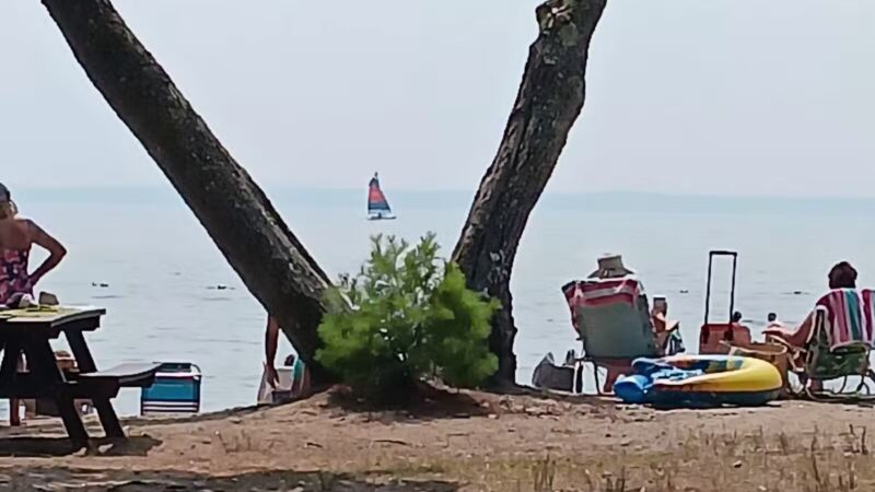 Sebago Lake State Park - Day Use Area Beach, Picnic, and Trails - Casco, ME