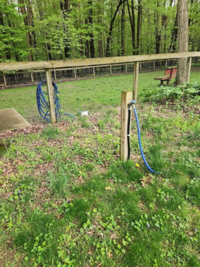 Lily Dale Dog Park - Cassadaga, NY