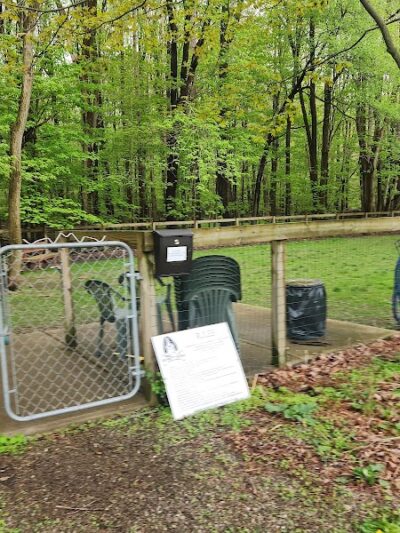 Lily Dale Dog Park - Cassadaga, NY