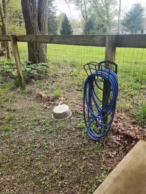 Lily Dale Dog Park - Cassadaga, NY