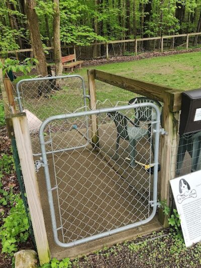 Lily Dale Dog Park - Cassadaga, NY