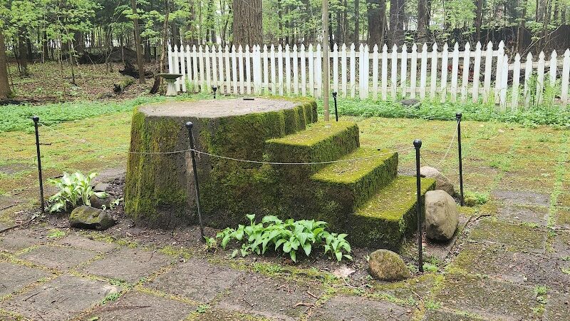 Lily Dale Dog Park - Cassadaga, NY