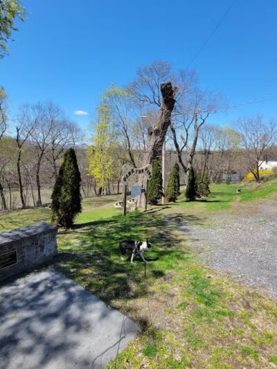 Park for Paws - Catskill, NY