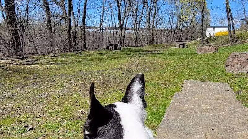 Park for Paws - Catskill, NY