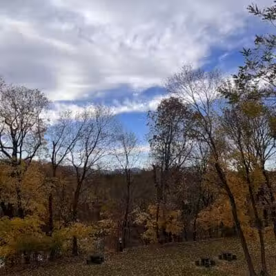 Park for Paws - Catskill, NY