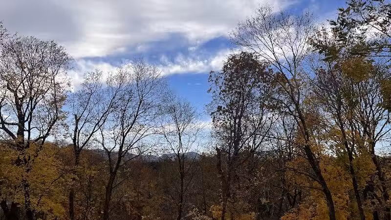 Park for Paws - Catskill, NY