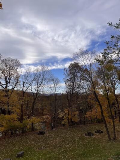 Park for Paws - Catskill, NY