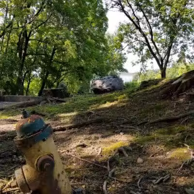 Park for Paws - Catskill, NY