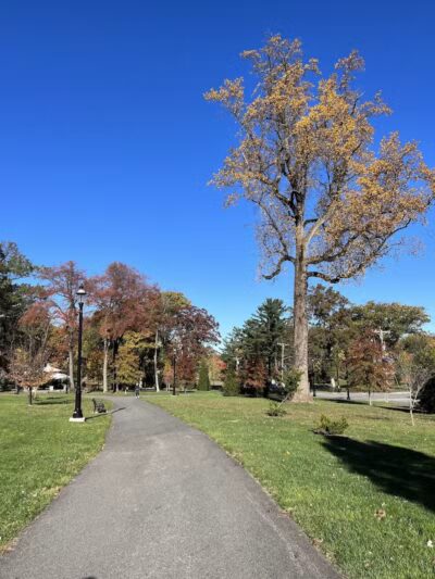 Cedar Grove Park - Cedar Grove, NJ