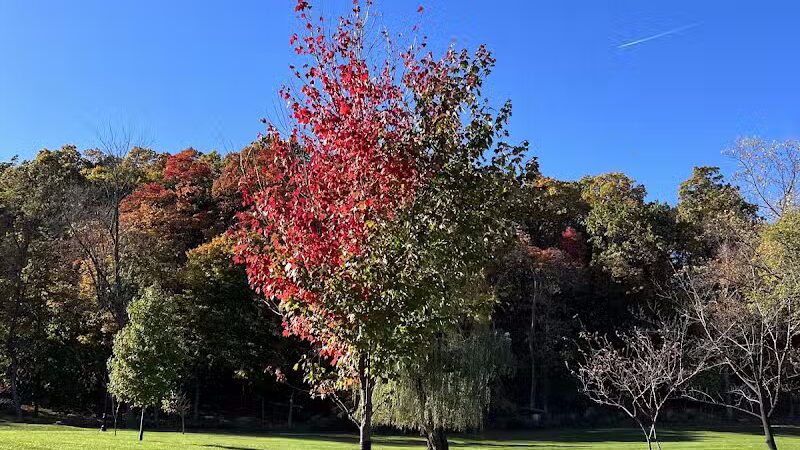 Cedar Grove Park - Cedar Grove, NJ