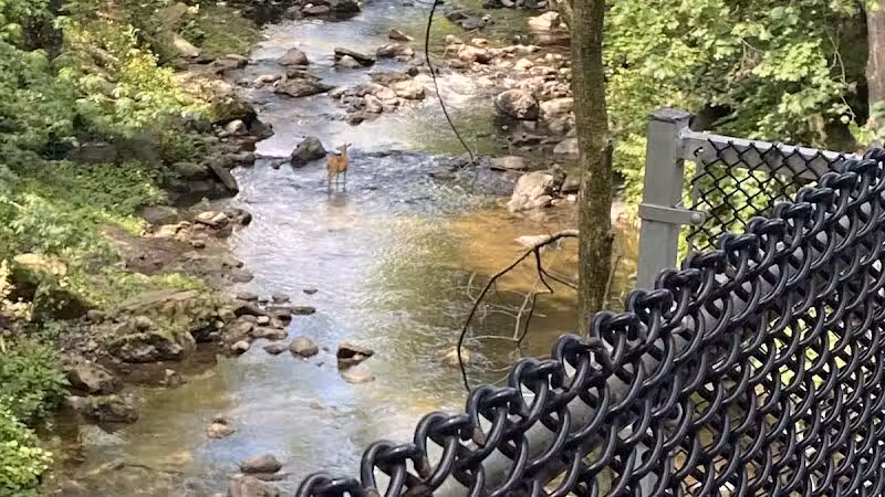 West Essex Trail - Cedar Grove, NJ