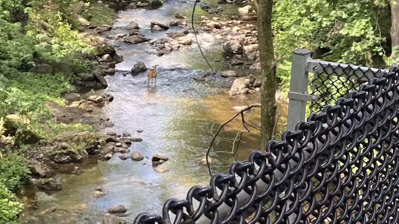 West Essex Trail - Cedar Grove, NJ