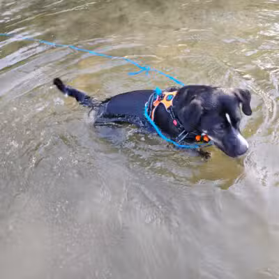 Cedar Hill River Access - Cedar Hill, MO