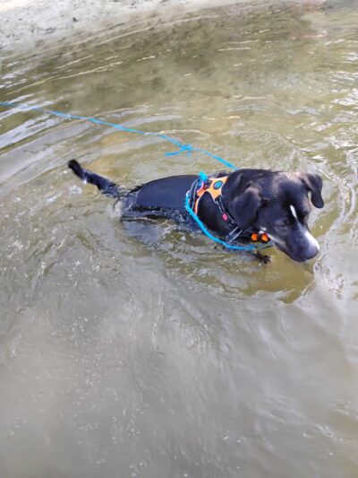 Cedar Hill River Access - Cedar Hill, MO
