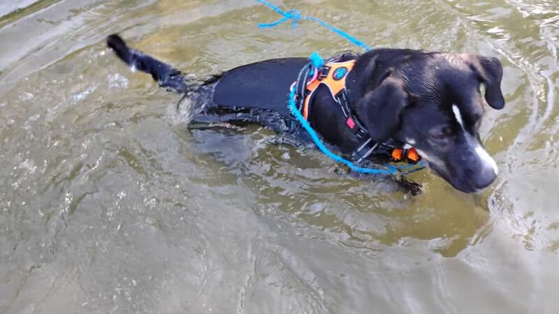 Cedar Hill River Access - Cedar Hill, MO