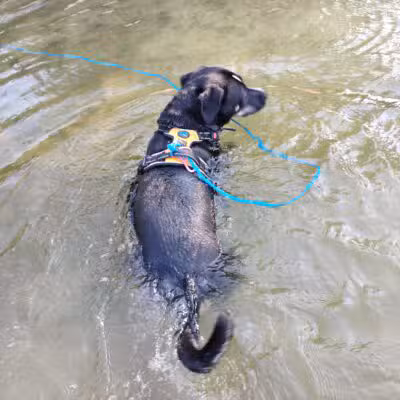 Cedar Hill River Access - Cedar Hill, MO