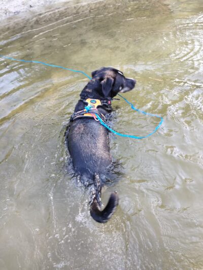 Cedar Hill River Access - Cedar Hill, MO