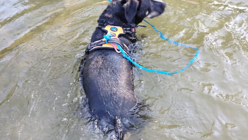 Cedar Hill River Access - Cedar Hill, MO