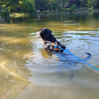 Cedar Hill River Access - Cedar Hill, MO