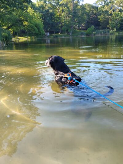 Cedar Hill River Access - Cedar Hill, MO
