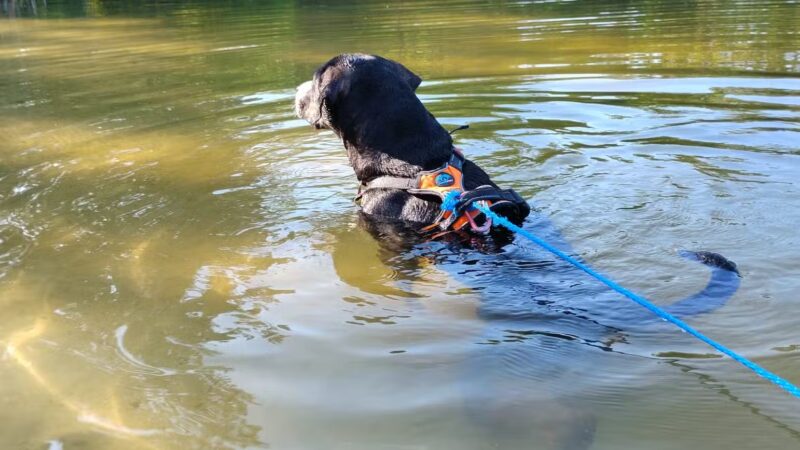 Cedar Hill River Access - Cedar Hill, MO