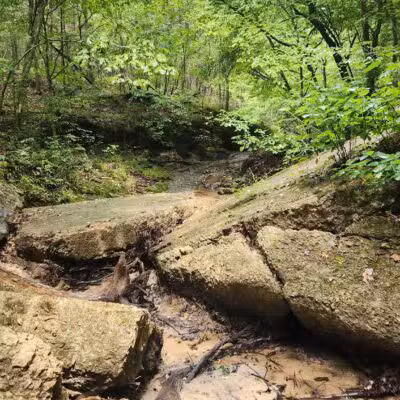 Don Robinson State Park - Cedar Hill, MO