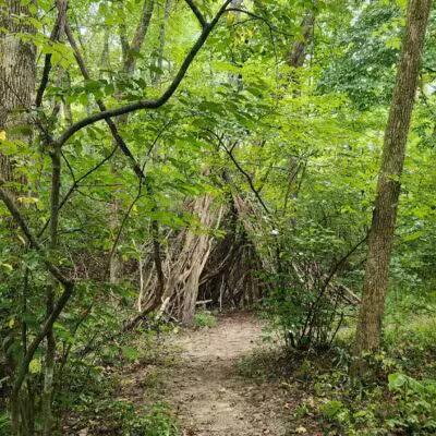 Don Robinson State Park - Cedar Hill, MO