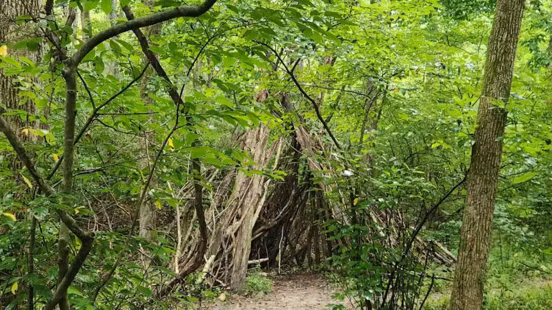 Don Robinson State Park - Cedar Hill, MO