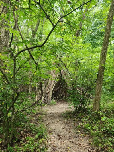 Don Robinson State Park - Cedar Hill, MO