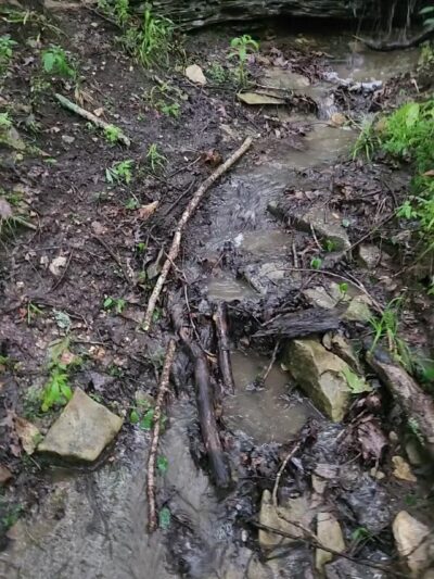 LaBarque Hills Trail Trailhead - Cedar Hill, MO