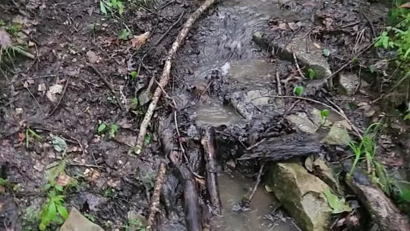 LaBarque Hills Trail Trailhead - Cedar Hill, MO