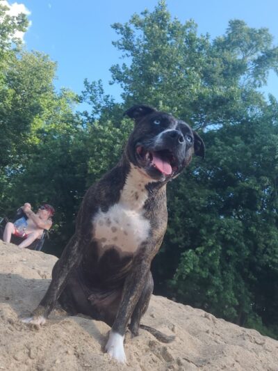 Cedar Hill Park - Cedar Hill, MO