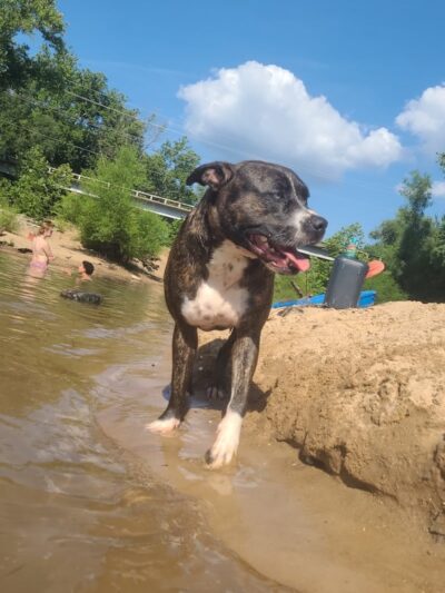 Cedar Hill Park - Cedar Hill, MO