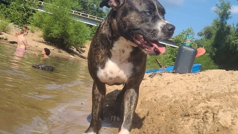 Cedar Hill Park - Cedar Hill, MO