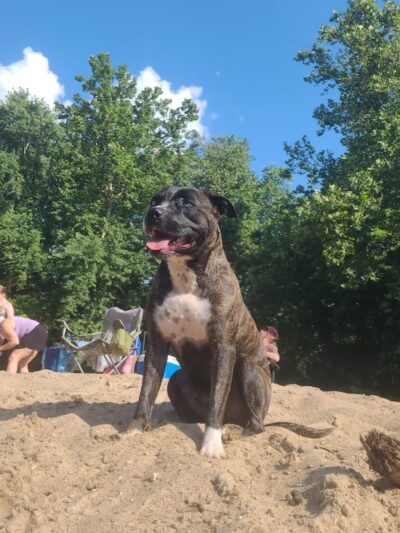 Cedar Hill Park - Cedar Hill, MO