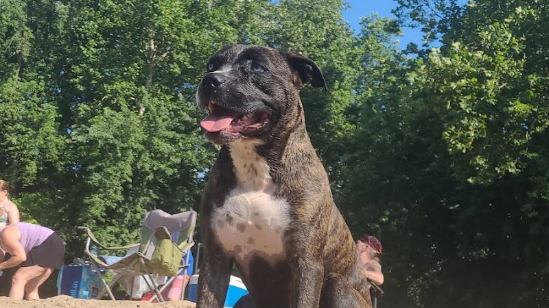 Cedar Hill Park - Cedar Hill, MO