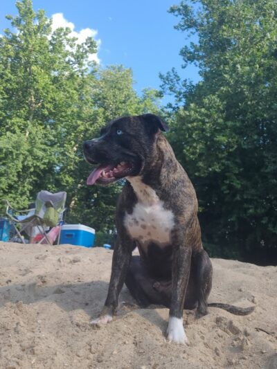 Cedar Hill Park - Cedar Hill, MO