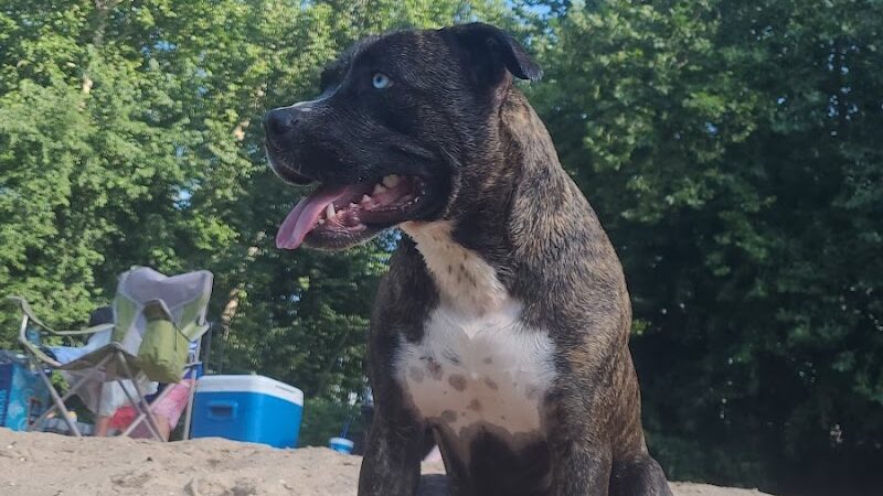 Cedar Hill Park - Cedar Hill, MO