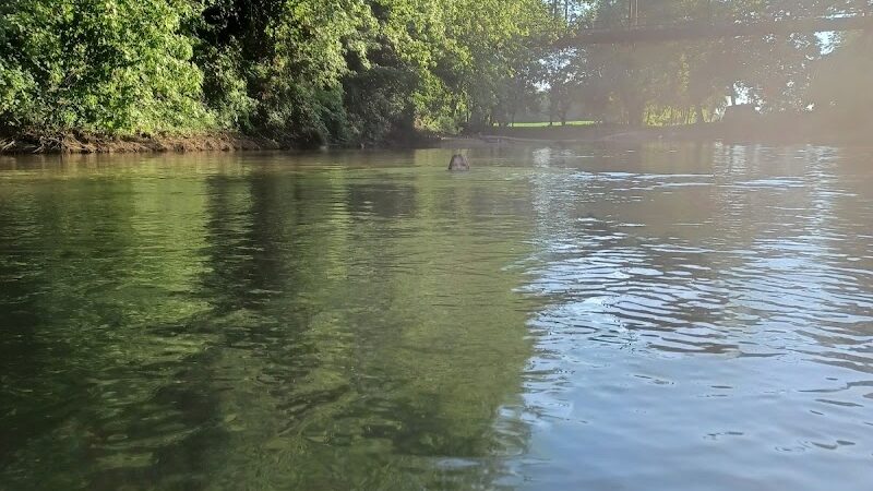Cedar Hill River Access - Cedar Hill, MO