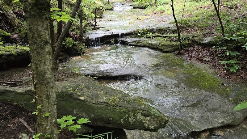 Don Robinson State Park - Cedar Hill, MO