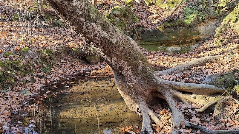 Don Robinson State Park - Cedar Hill, MO