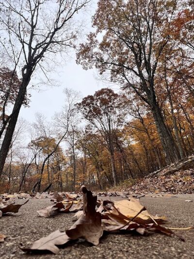 Don Robinson State Park - Cedar Hill, MO