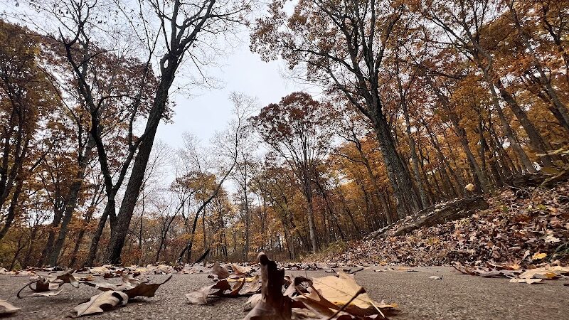 Don Robinson State Park - Cedar Hill, MO