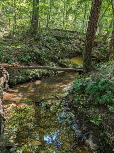 Don Robinson State Park - Cedar Hill, MO