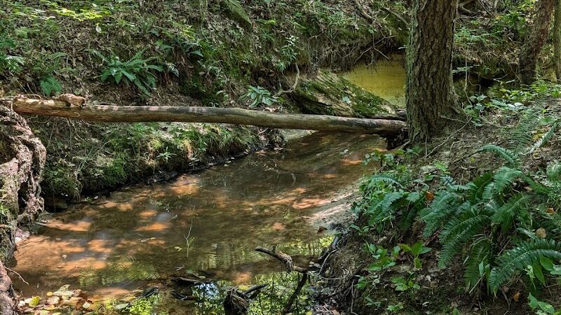 Don Robinson State Park - Cedar Hill, MO