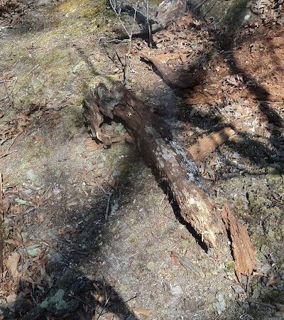 LaBarque Hills Trail Trailhead - Cedar Hill, MO