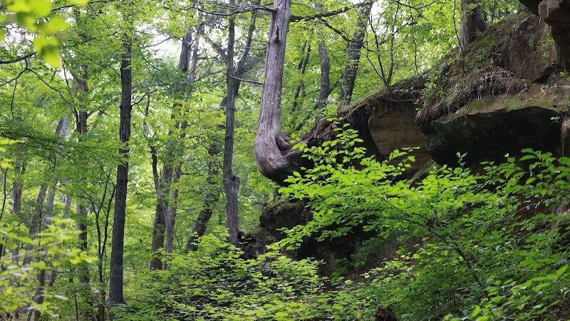 Sandstone Canyon Trail Trailhead - Cedar Hill, MO