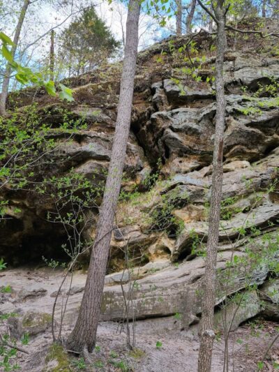 Sandstone Canyon Trail Trailhead - Cedar Hill, MO