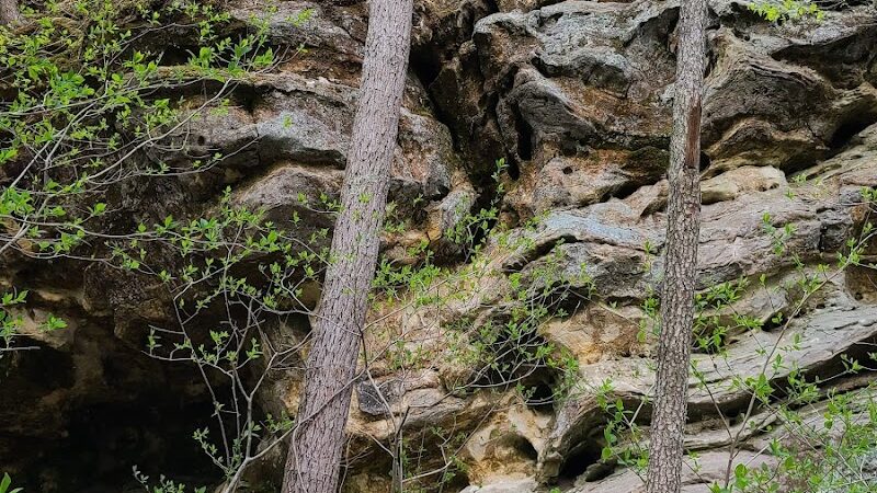 Sandstone Canyon Trail Trailhead - Cedar Hill, MO