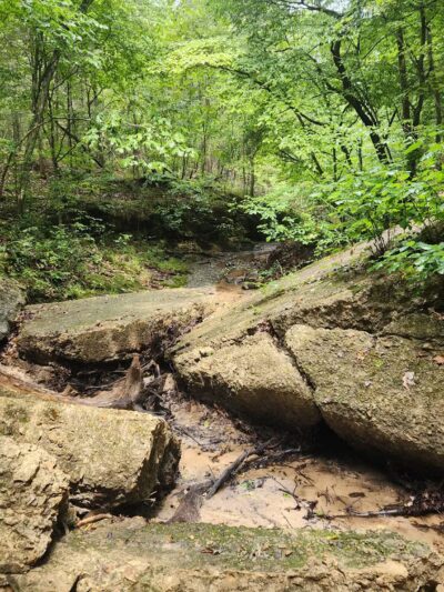 Sandstone Canyon Trail Trailhead - Cedar Hill, MO